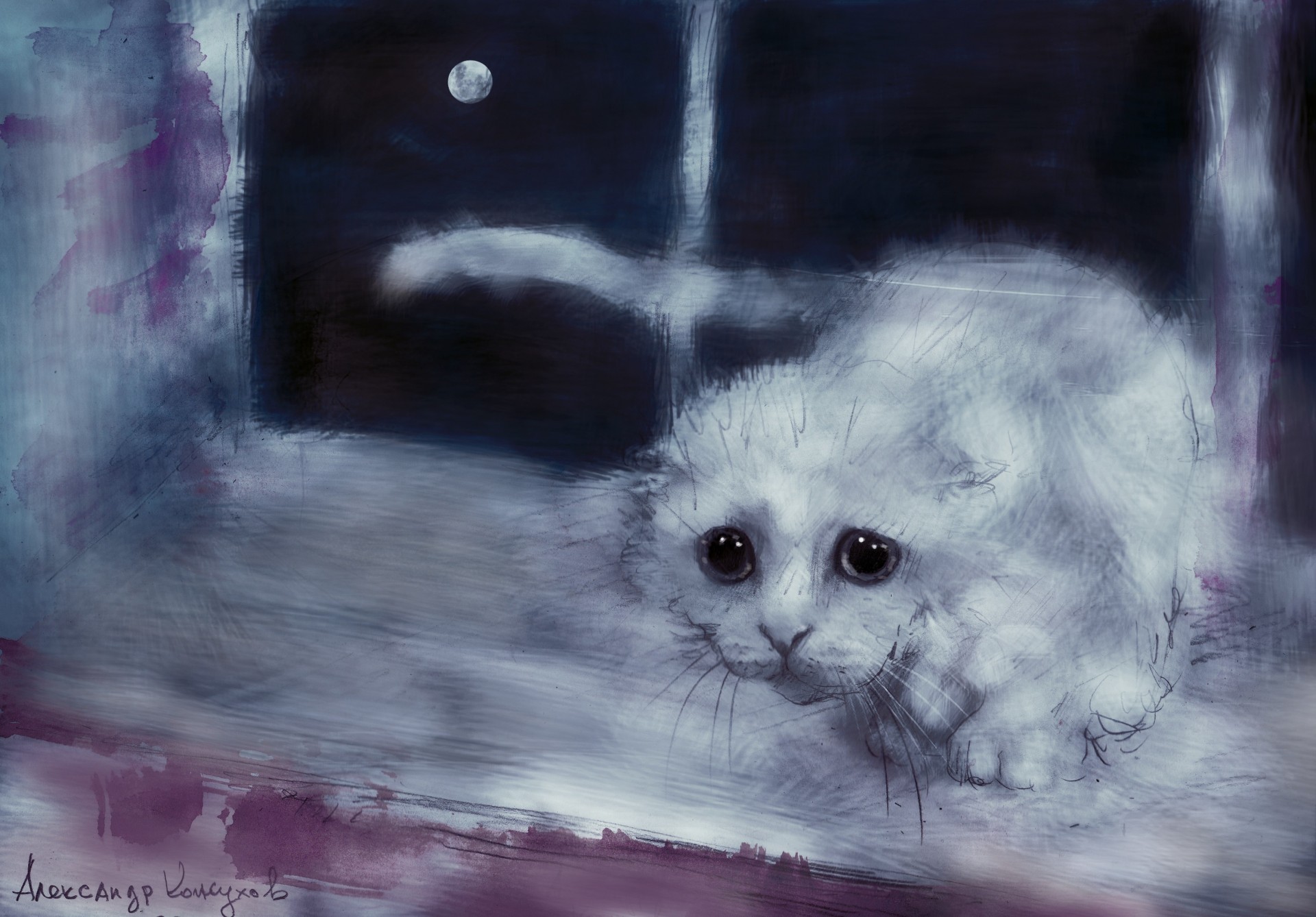 art window alexander kozhukhov views picture white moon cat