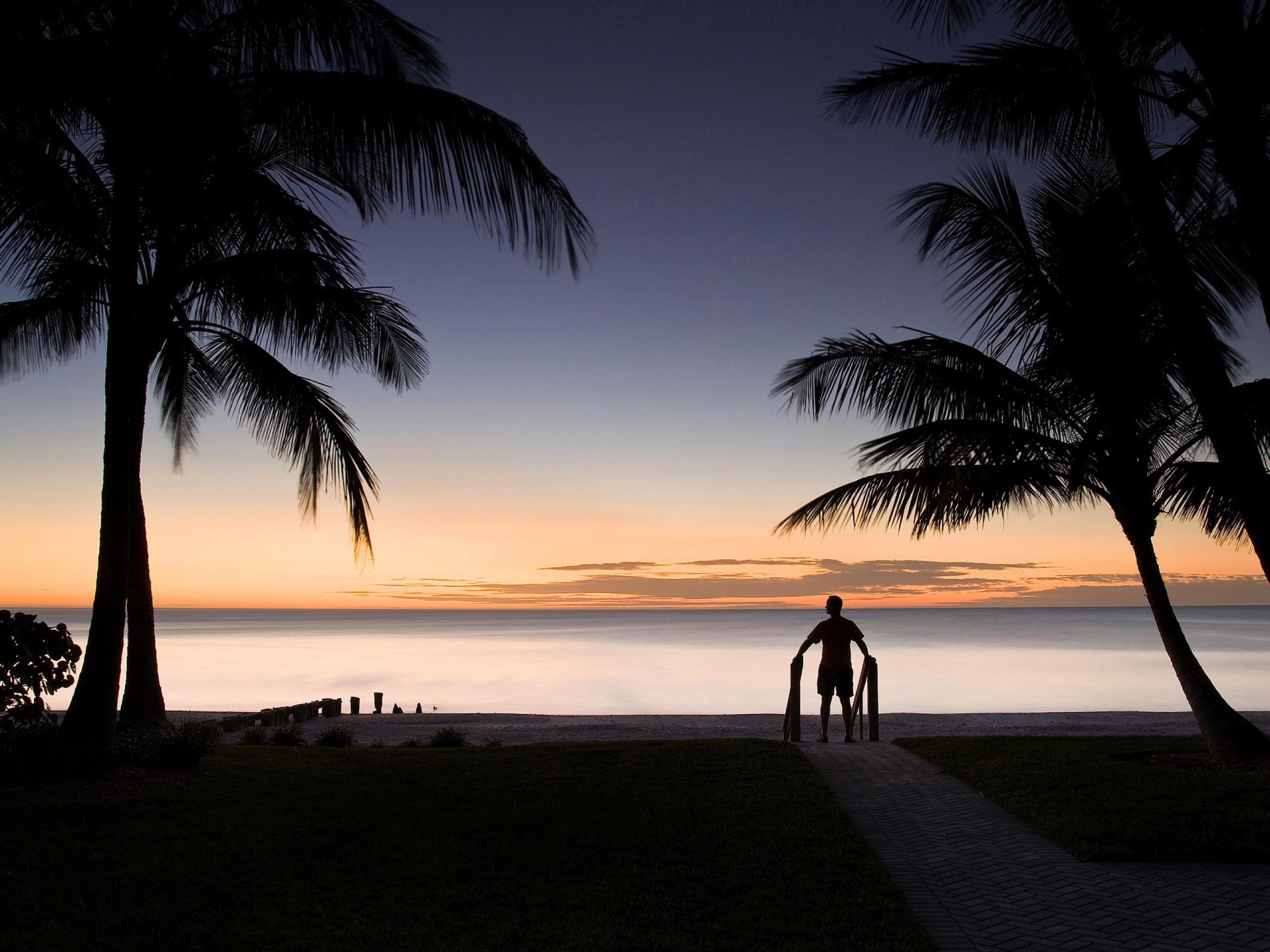 palmen mann silhouette horizont landschaft