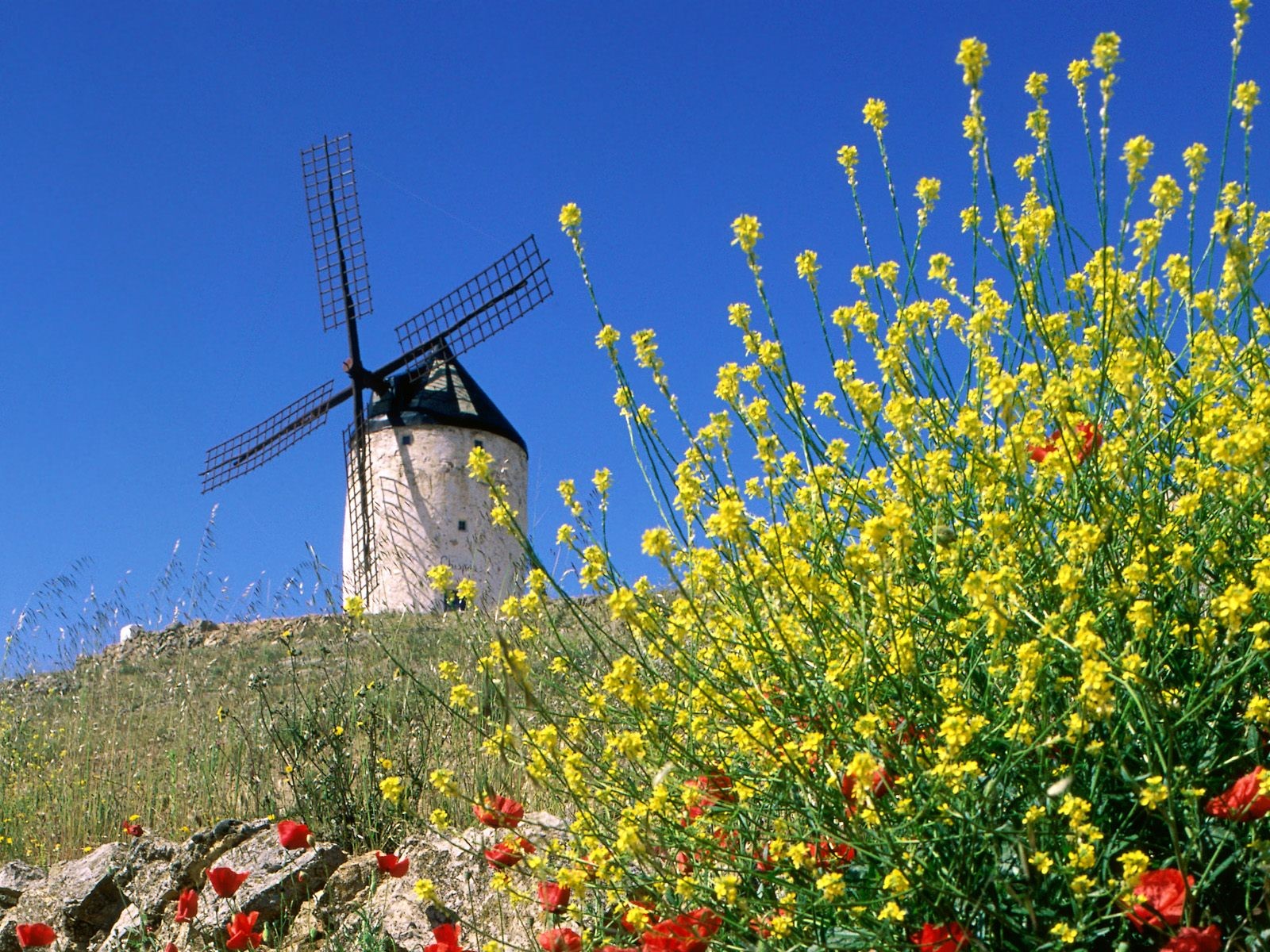 espagne moulin fleurs