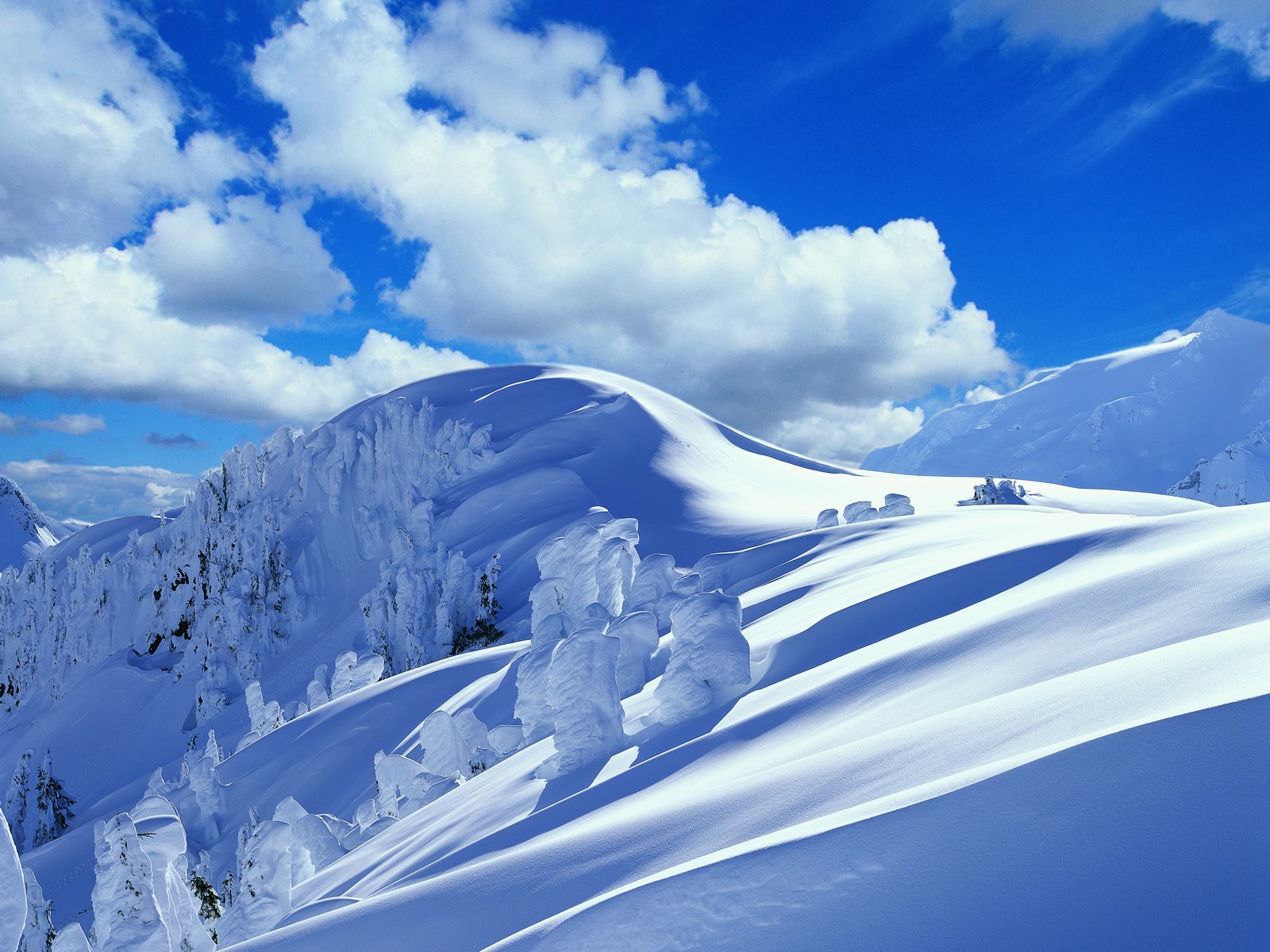 winter snow mountains clouds snowdrift tree