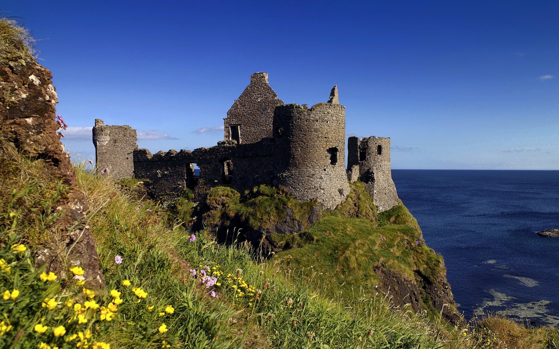 castle nature ocean flower