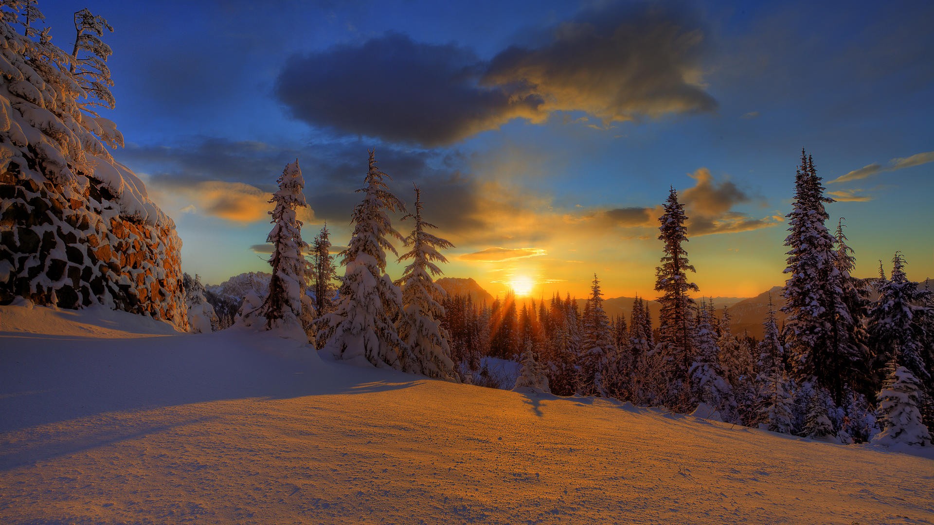 invierno bosque nieve árboles de navidad cielo puesta de sol nubes naturaleza belleza