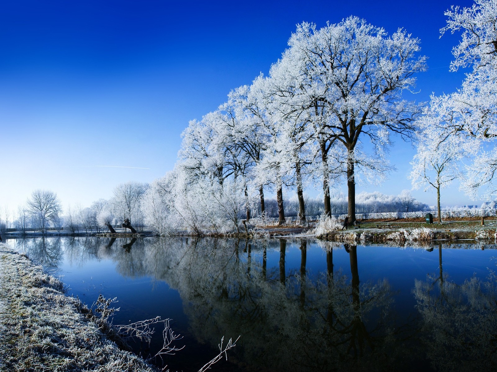 hiver givre eau arbres