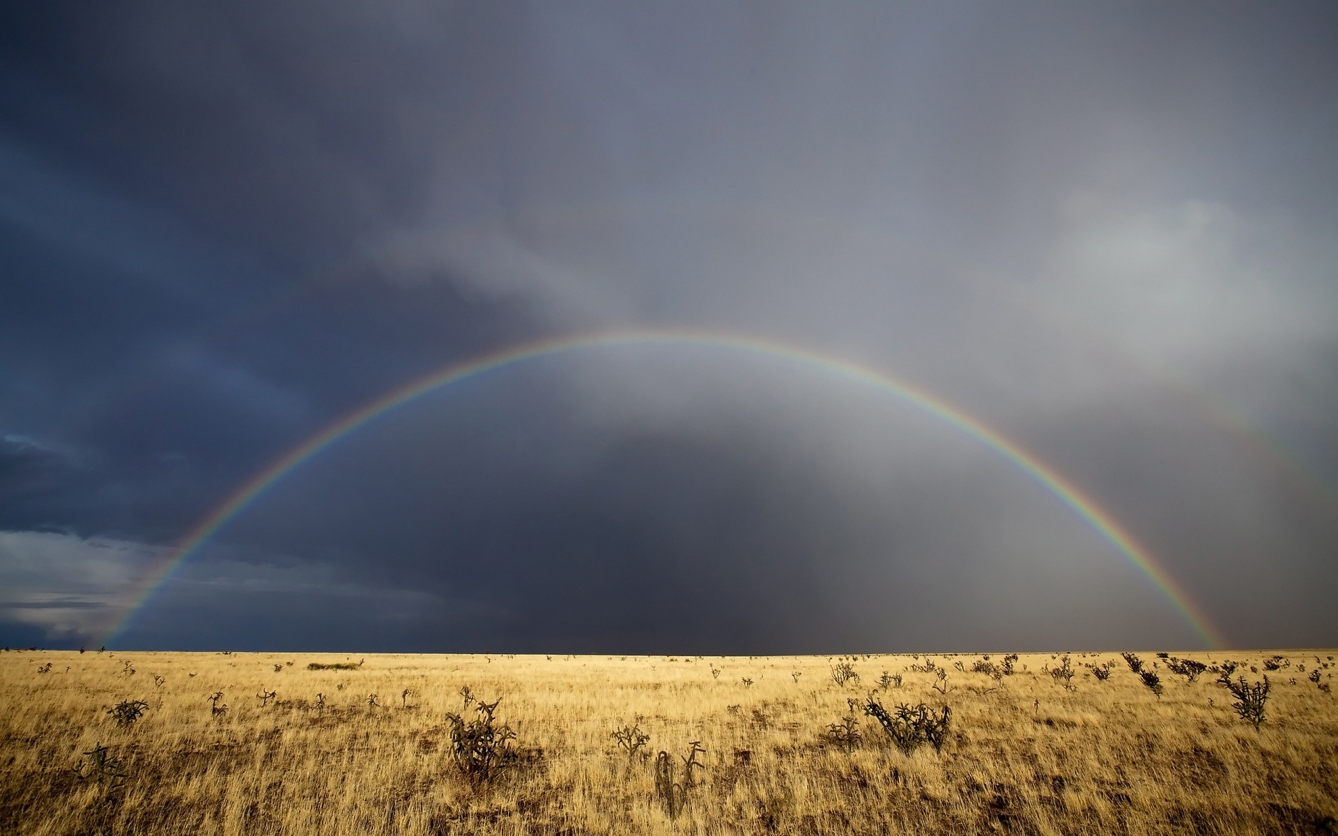 wolken gras new mexico regenbogen himmel