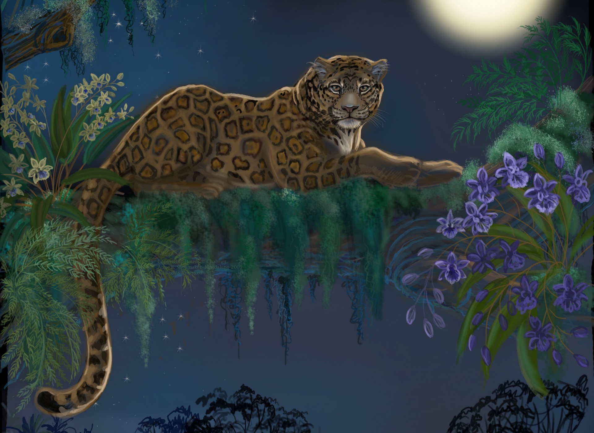 arte depredador leopardo árbol especie cola animales