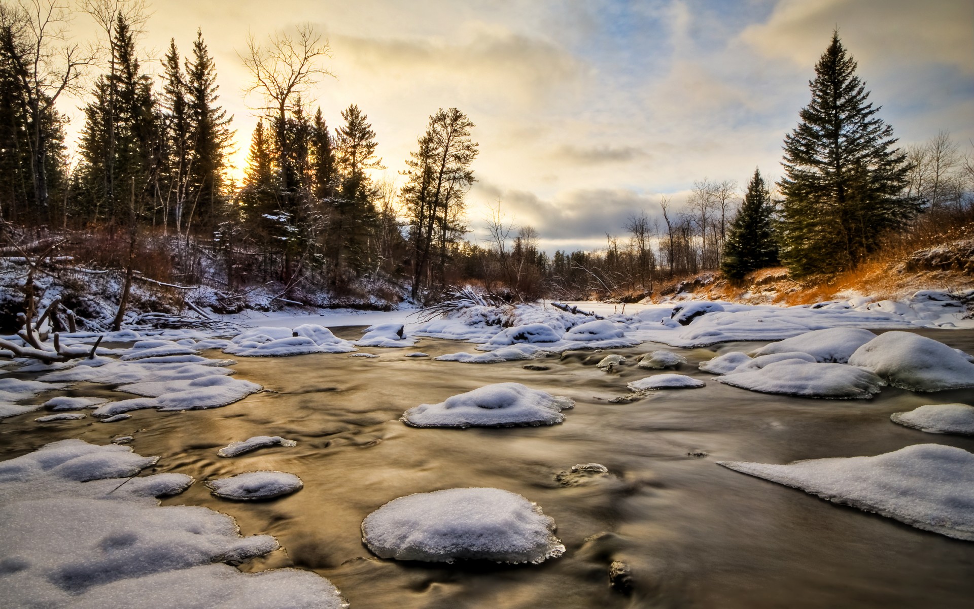 лес лед снег деревья вода зима