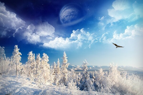 An eagle soaring over a winter forest