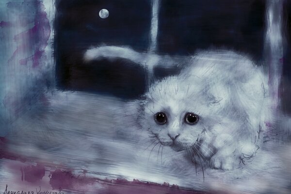 Art white cat under the moon on the window