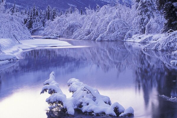 Winter landscape on the river bank