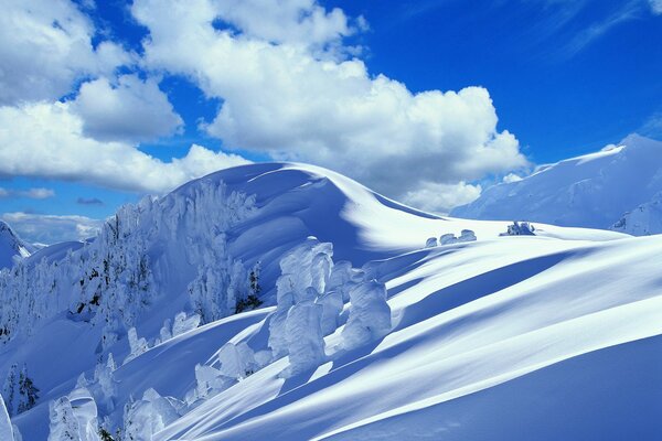 Snowdrifts in winter in the mountains snow-covered trees