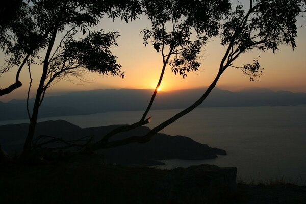 Sera tramonto alberi lago