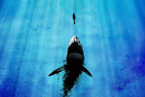 Shark and man underwater