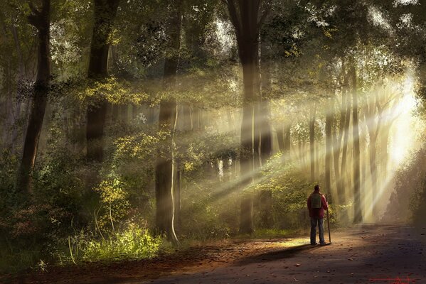 Uomo solitario nella foresta di risveglio