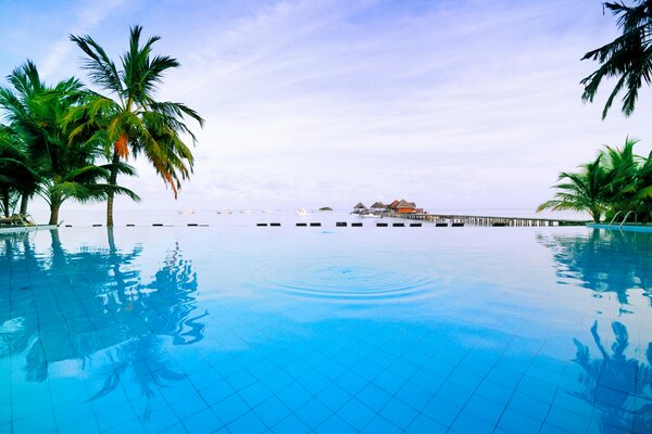 Piscina con acqua blu pura in Thailandia. Palme e cielo