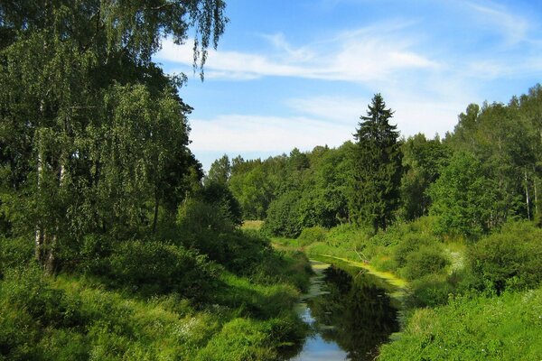 Rivière bleue entre deux rives vertes envahies par les arbres et le ciel avec des nuages pennés blancs