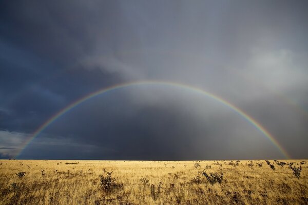 Wolke Gras Regenbogen Himmel