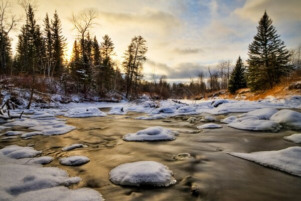 Bosque de invierno. Islas de nieve en el agua. Árboles de nieve