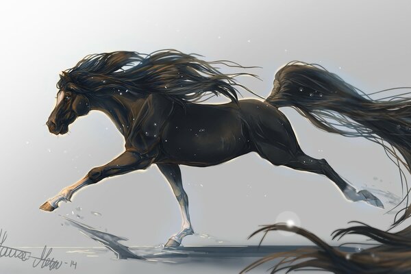 A running horse on the morning dew