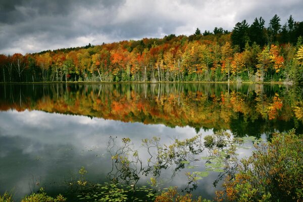 Reflexion des Waldes im See im Wasser schöne Herbstbäume