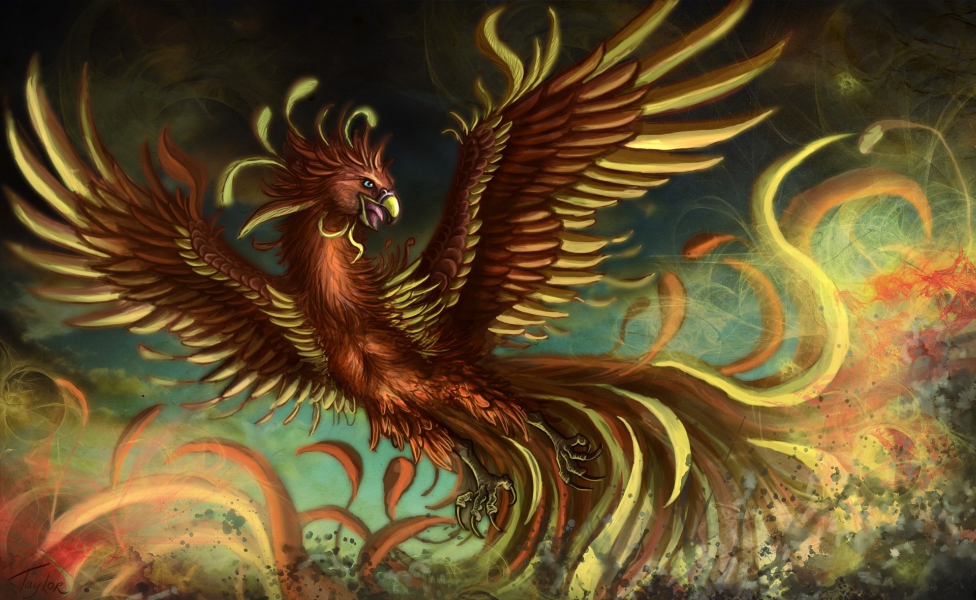 art phoenix birds feathers fantasy wing