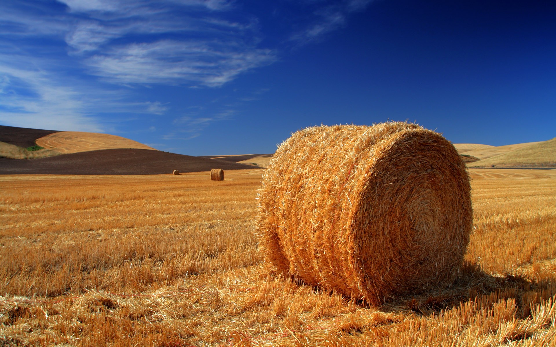 the field stack hay