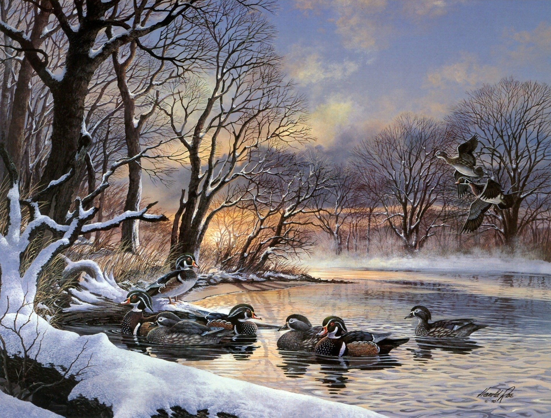 troupeau de canards ninja peinture coucher de soleil lac central park hiver