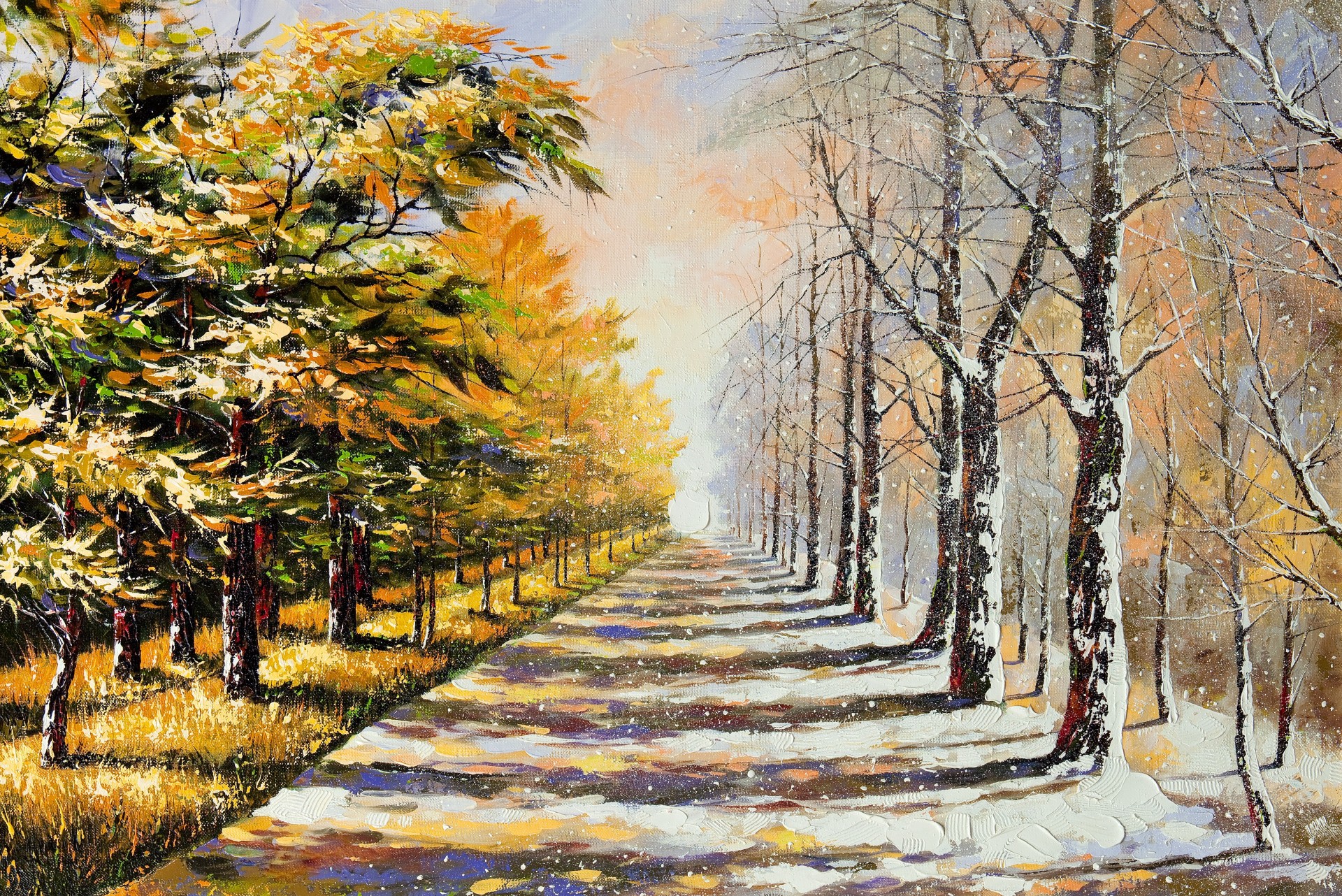 foliage tree summer road snow winter