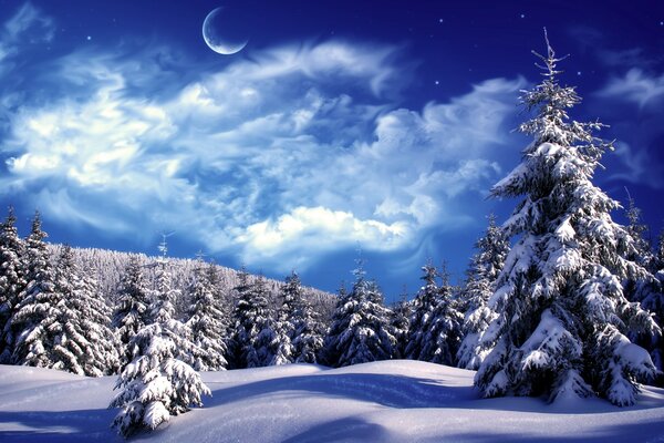 Winter fir forest with a full moon