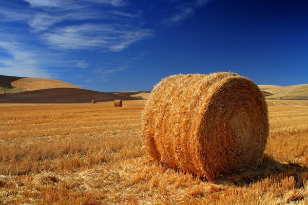 Haystack in the field