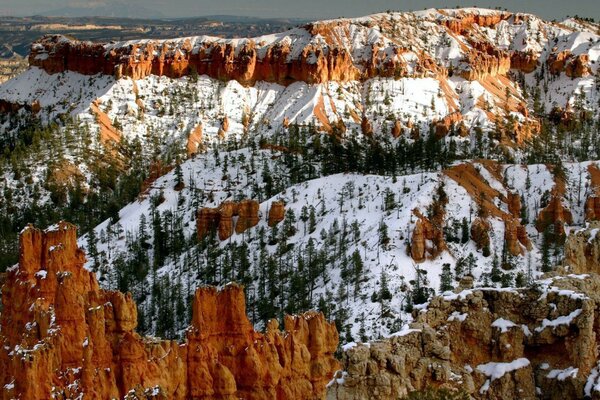 La primera nieve en árboles y montañas