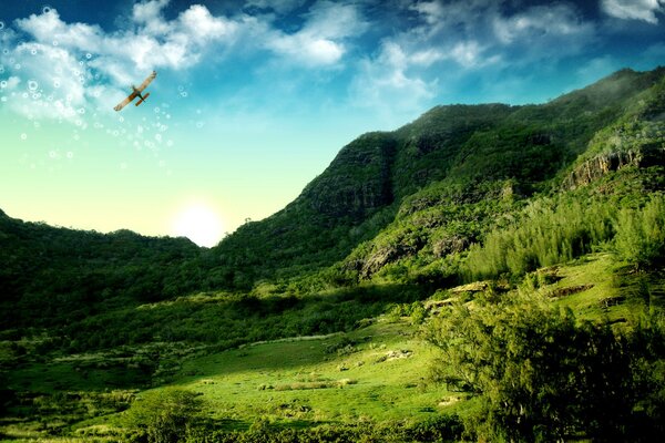 Maïs dans le ciel planant au-dessus des montagnes et des forêts