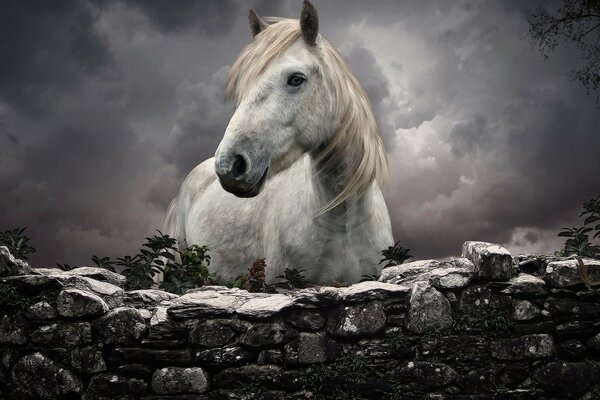 Immagine di un cavallo bianco con una criniera rossa