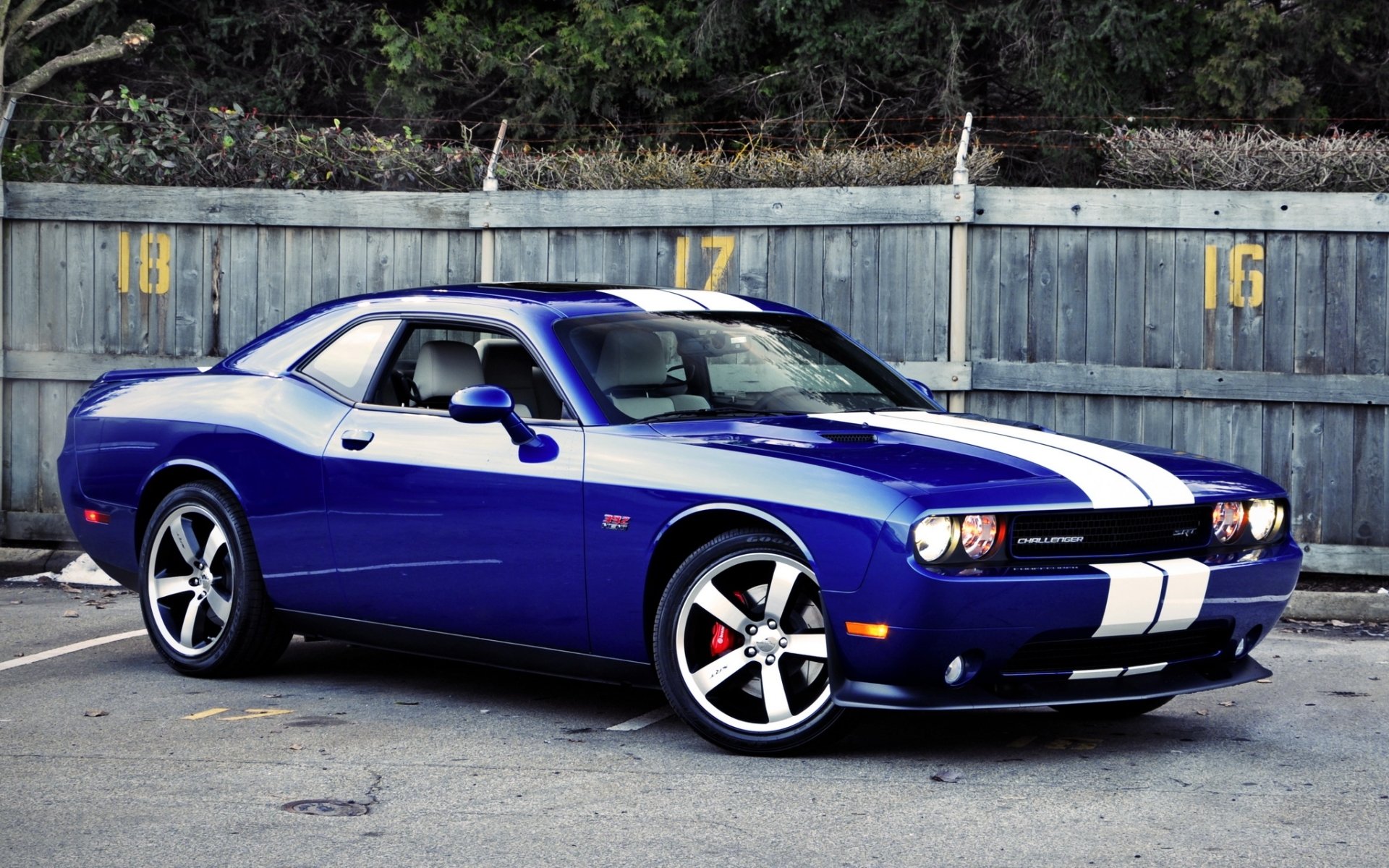 dodge challenger srt8 first edition dodge challenger blue muscle car muscle car front