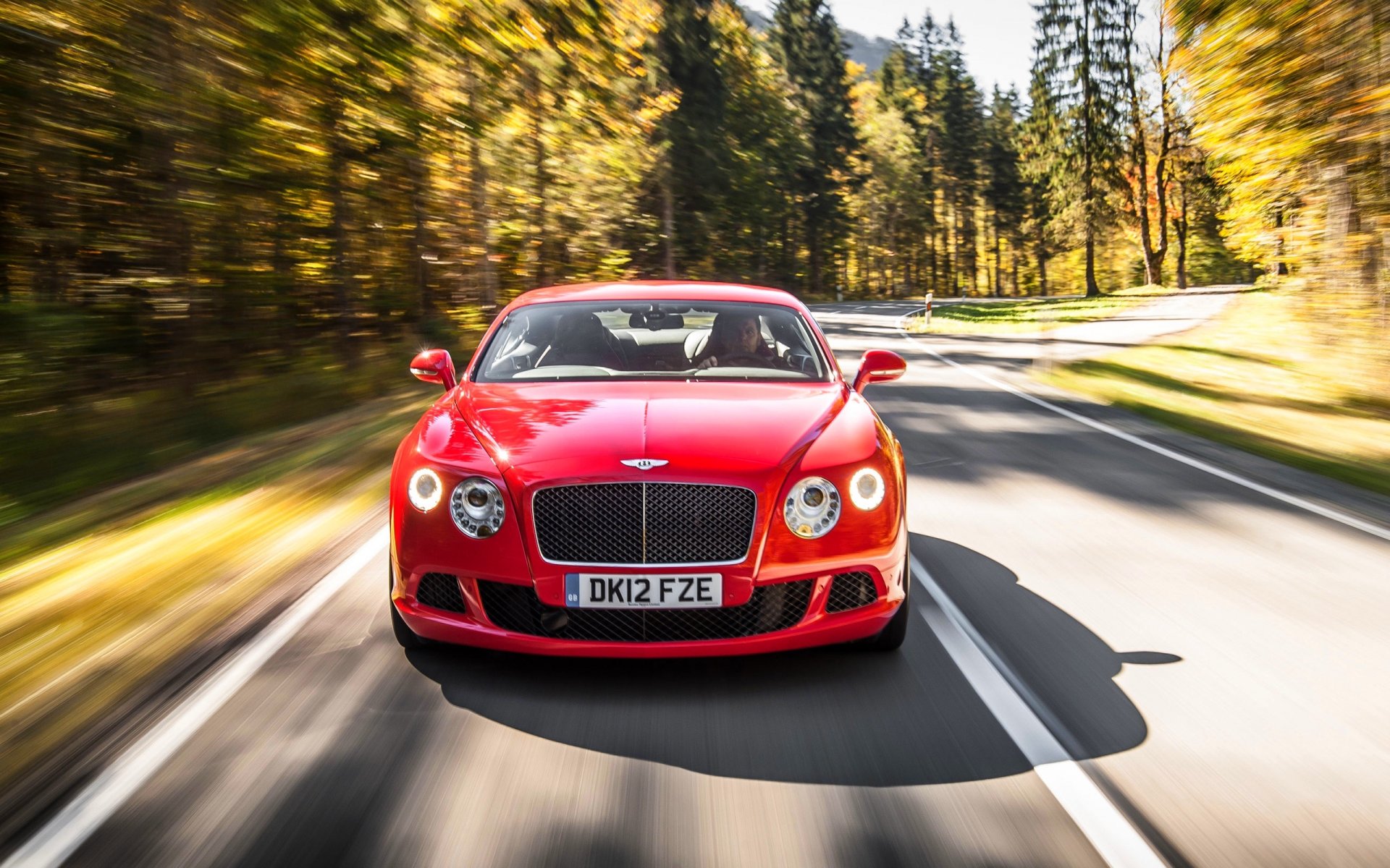 bentley continental gt rosso rosso auto anteriore griglia fari foresta asfalto