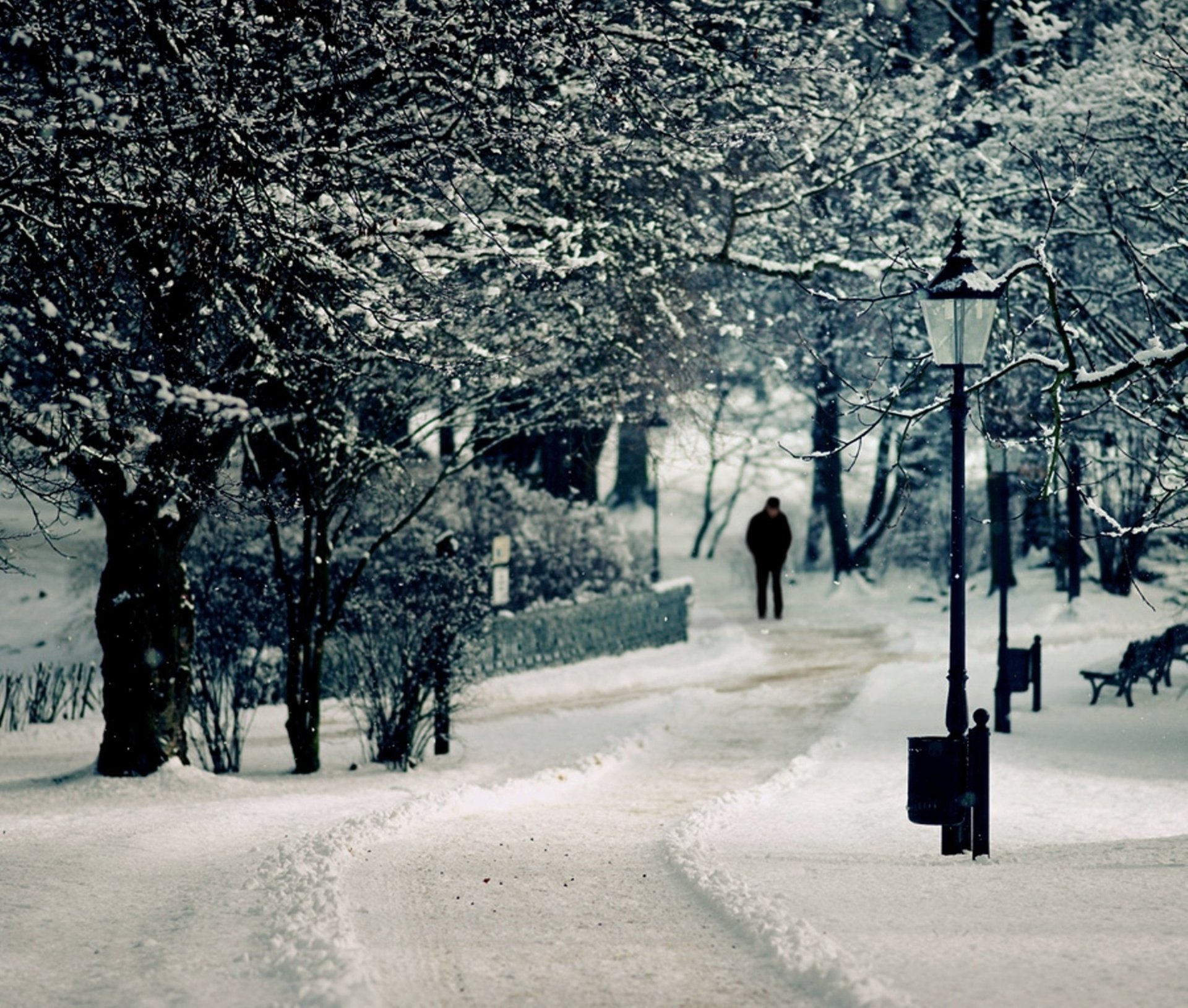 zama linterna tienda árbol nieve hombre