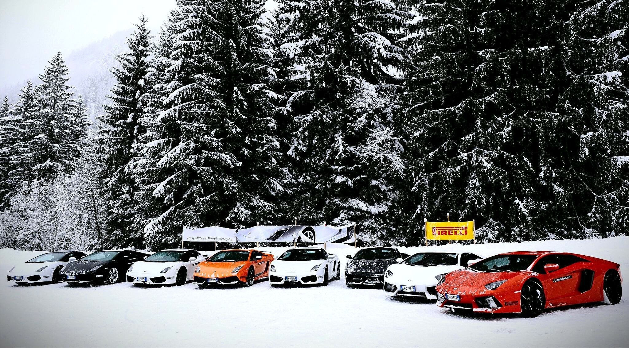 lamborghini aventador gallardo miscela automobili neve