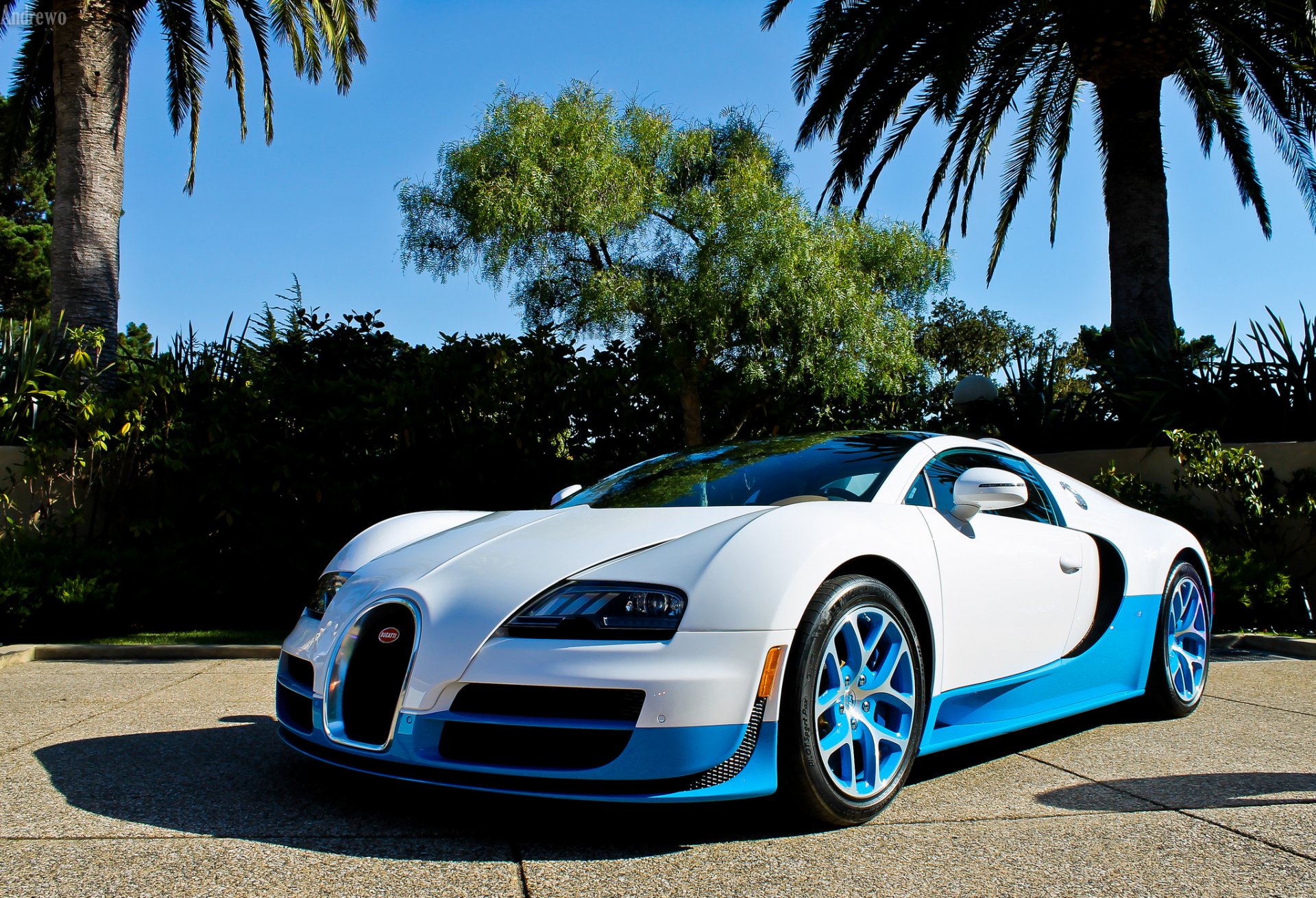 bugatti veyron vitess bugatti veyron blanco azul palmeras