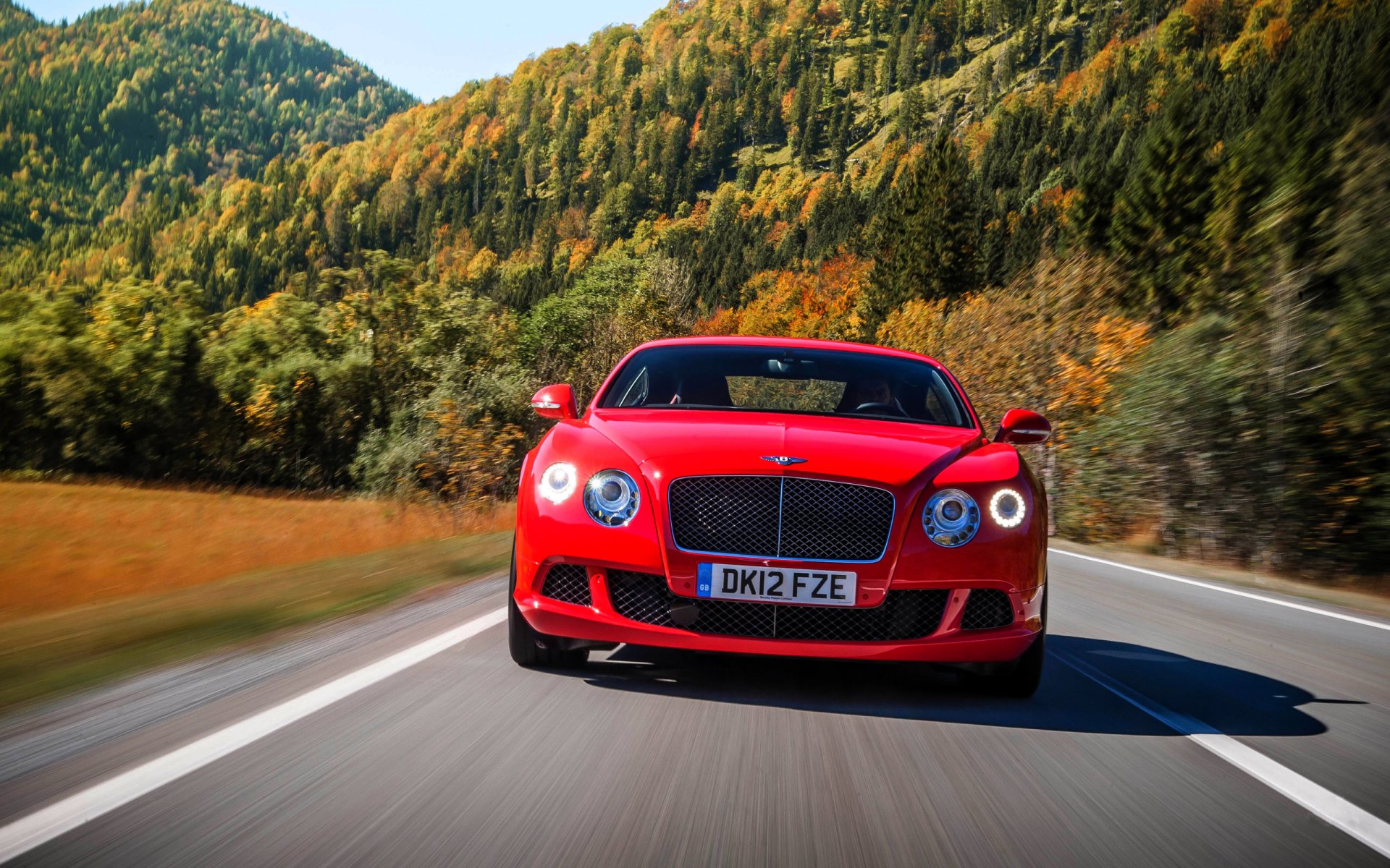 bentley continental gt czerwony samochód reflektory numer przód kaptur drzewa las droga