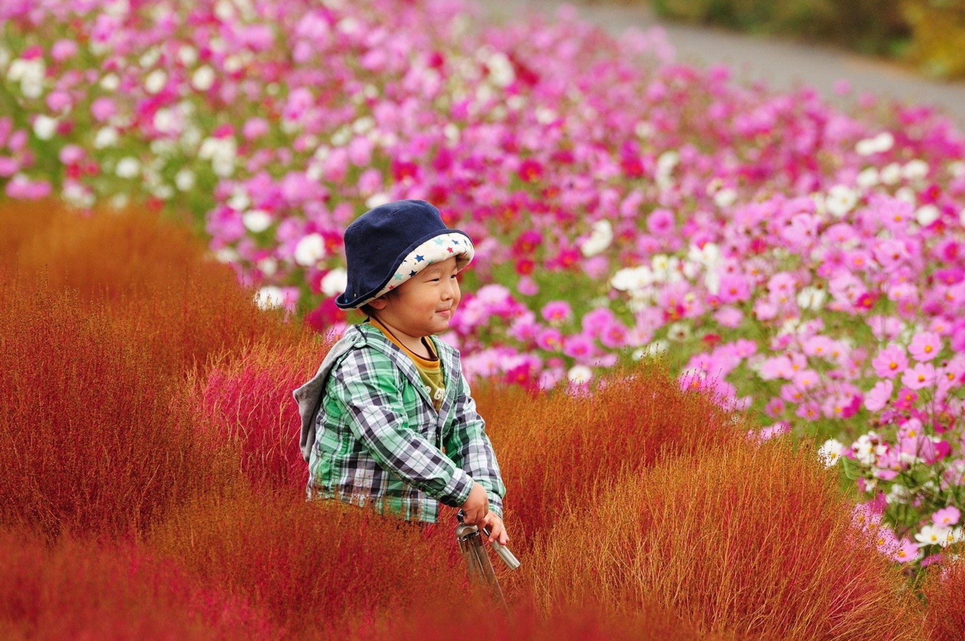 bellezza parco tokyo fiori bambino