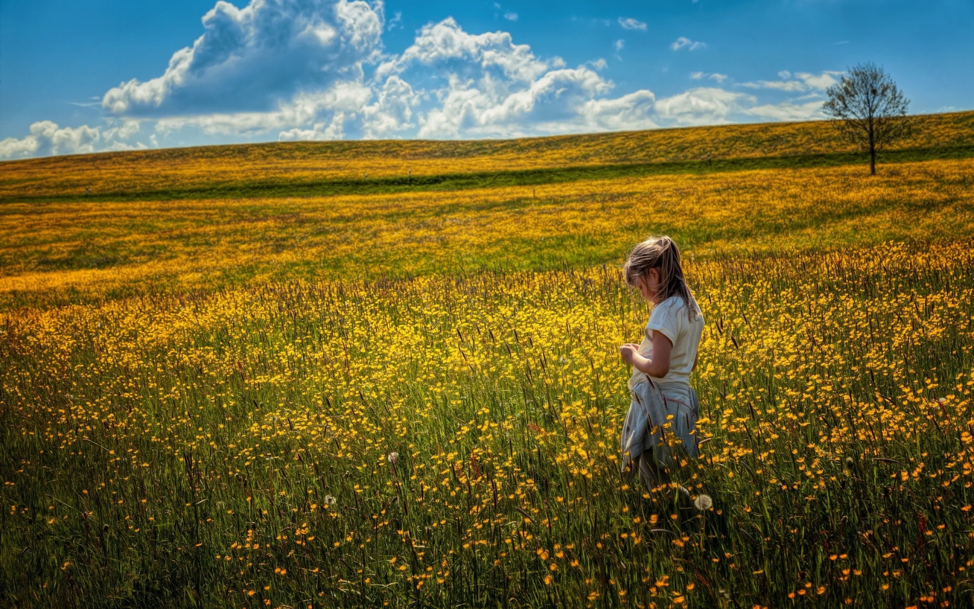 feld stimmung mädchen blumen