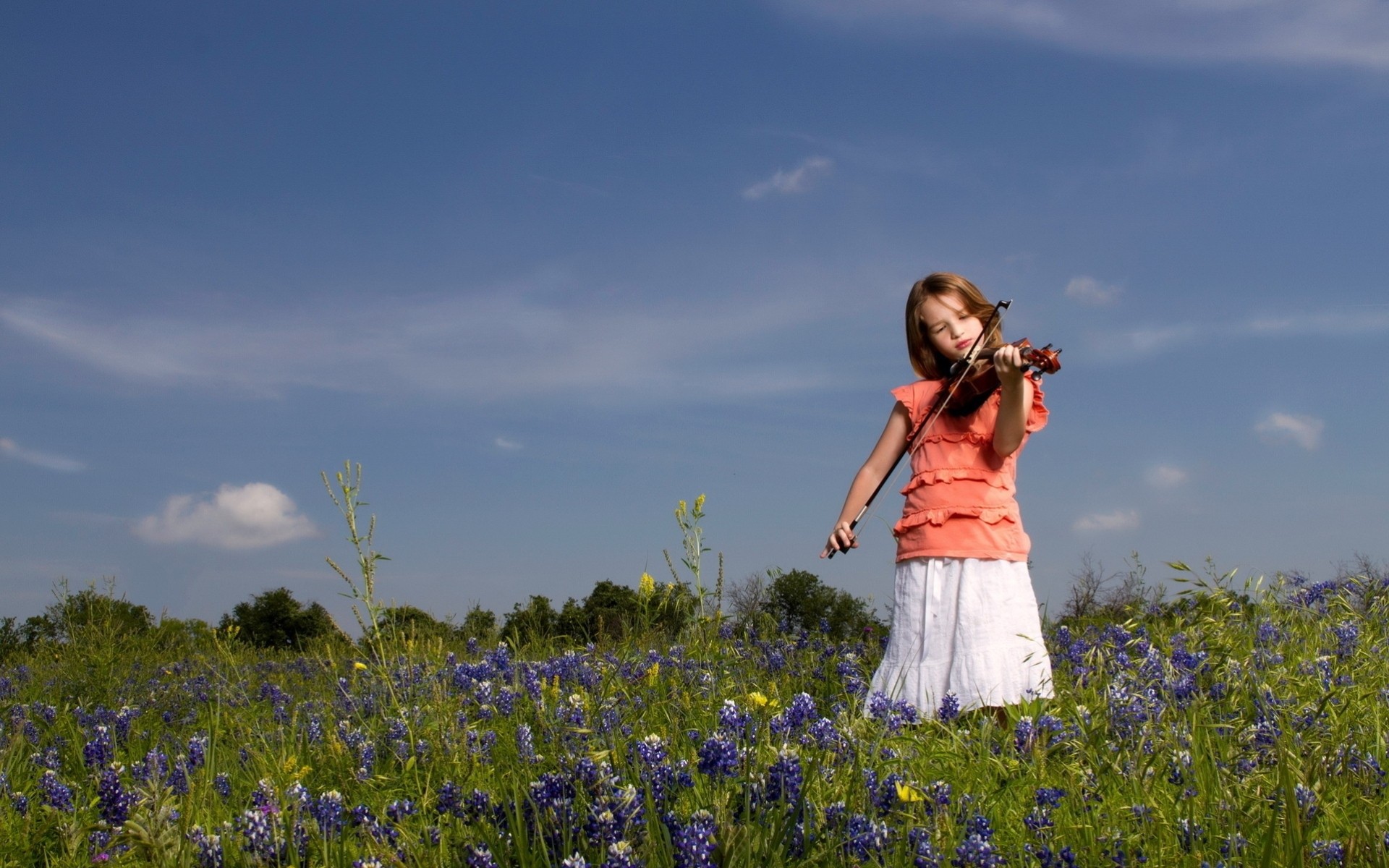 blumen violinistin violine mädchen wiese