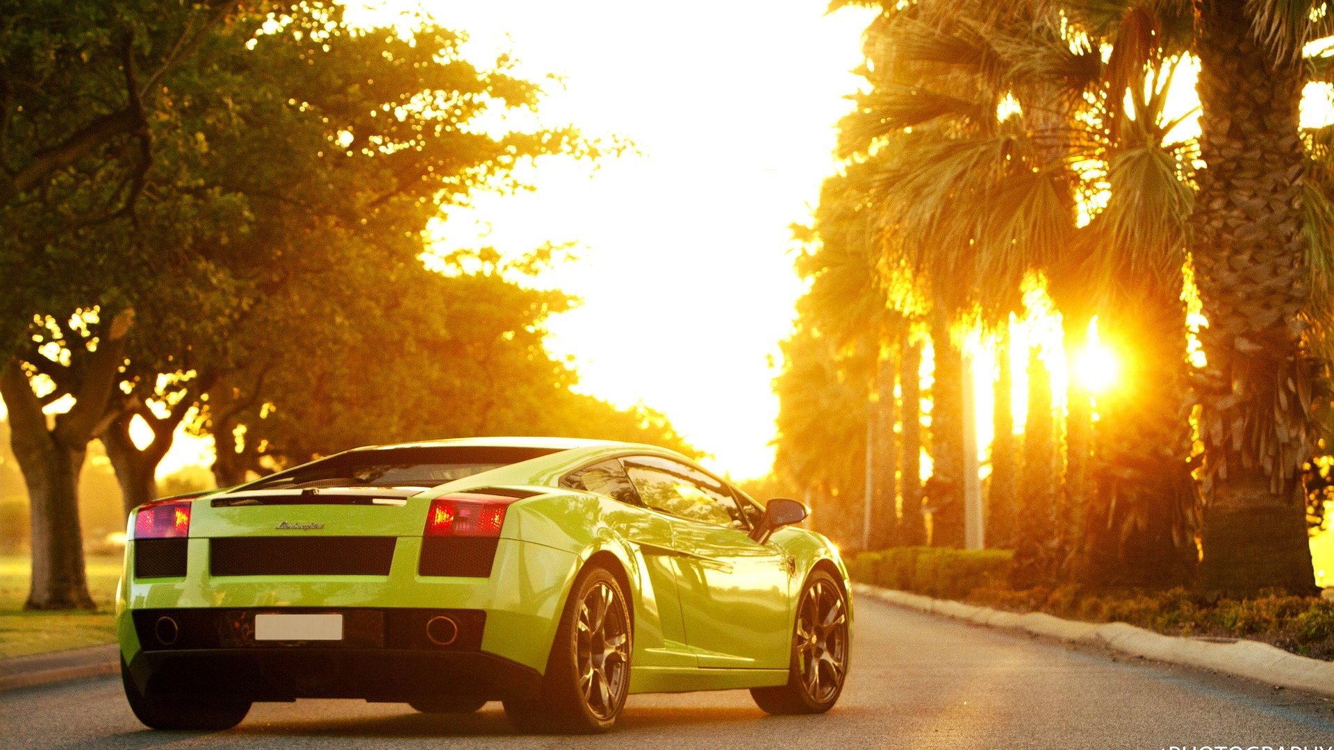 lamborghini gallardo green sports car sun car lamborghini gallardo palm tree