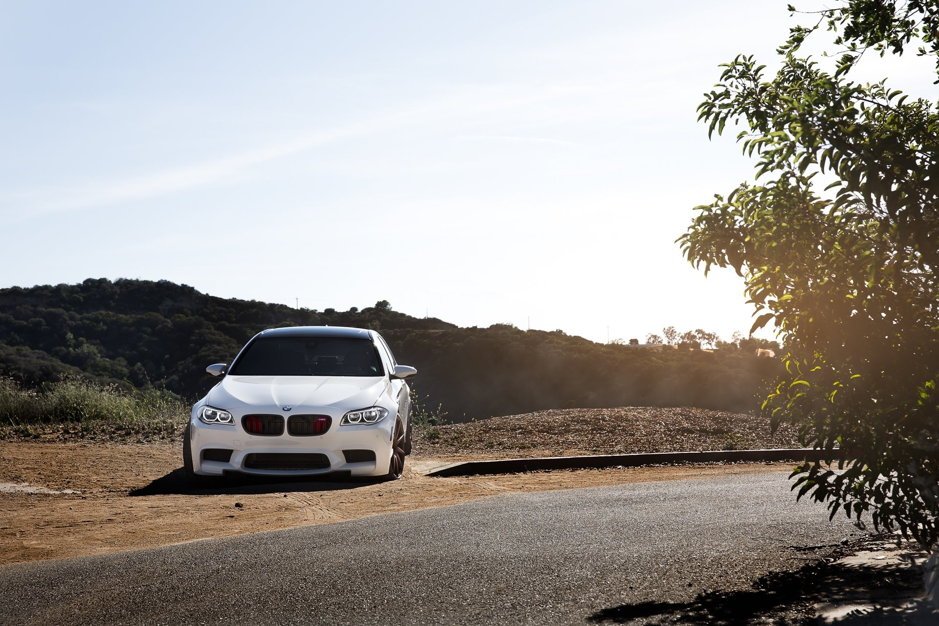 bmw m5 f10 white bmw tinted road turn