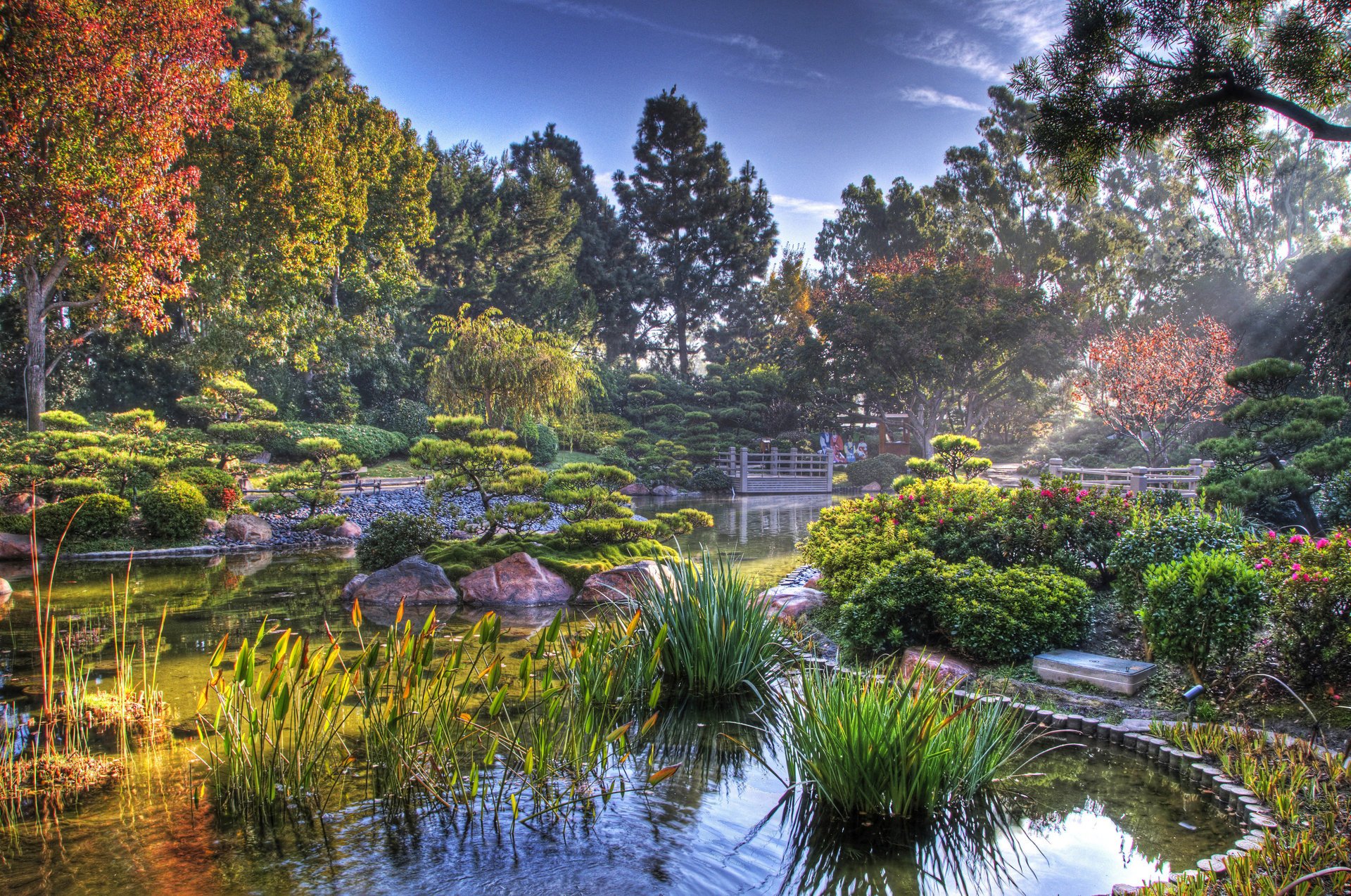 japanischer garten teich japan