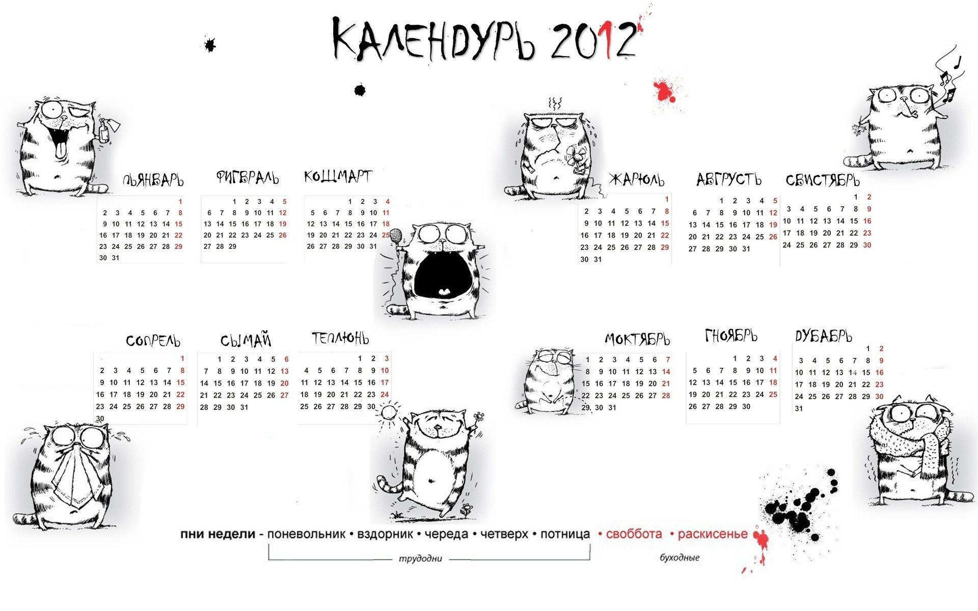 calendar calendar 2012 cats new year