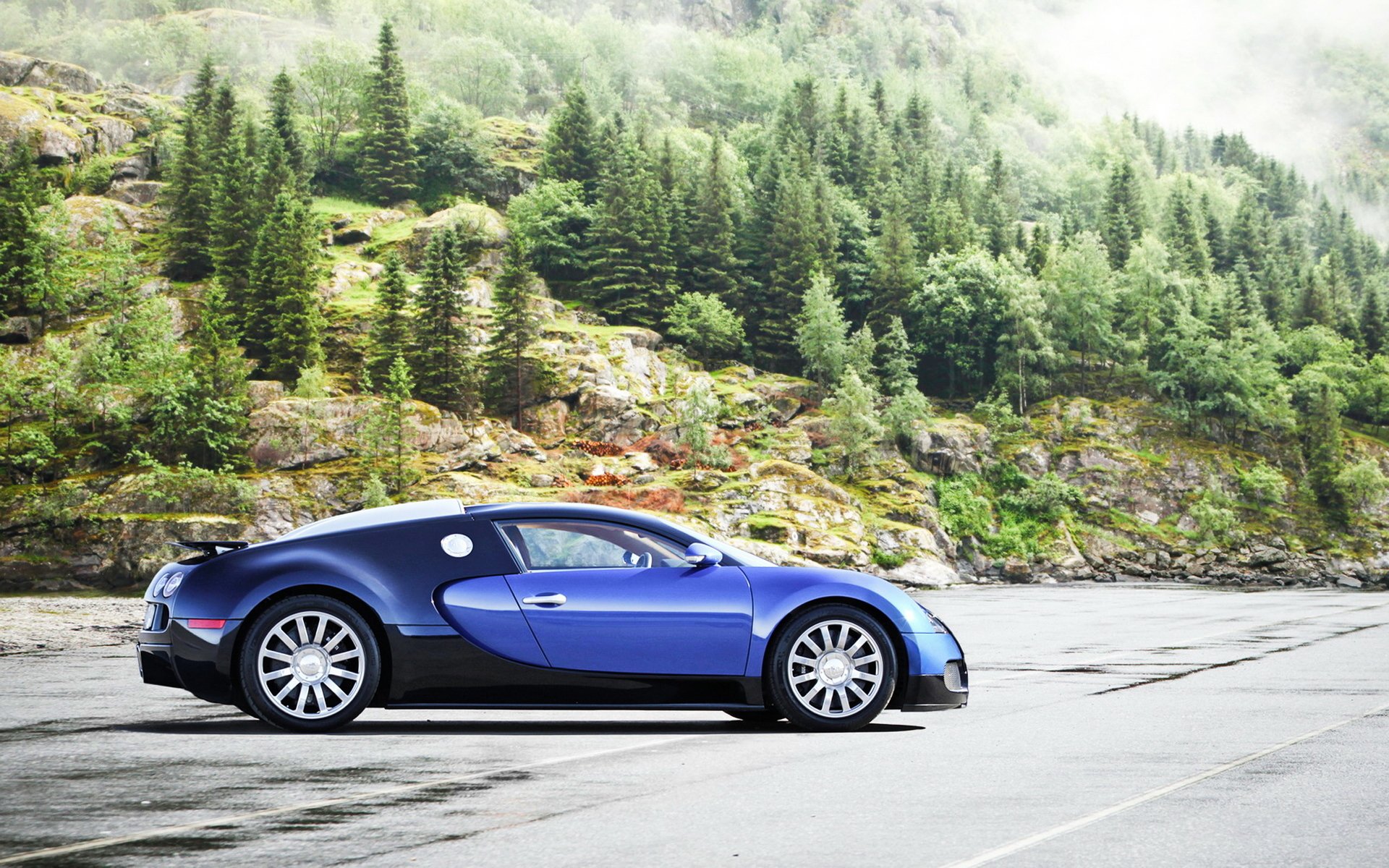 bugatti veyron бугатти вейрон суперкар автообои