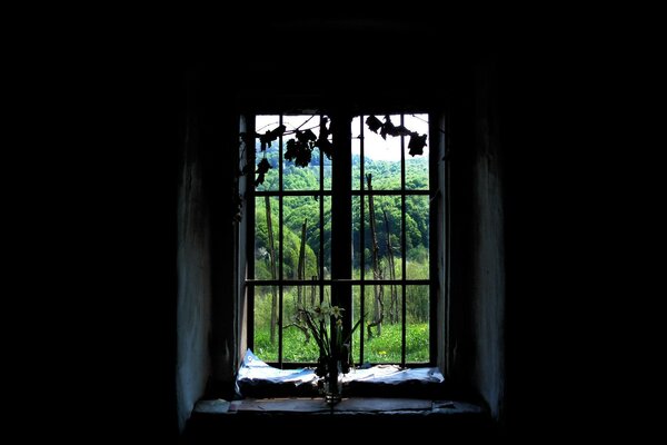 En la habitación es negro, en la rejilla de la ventana