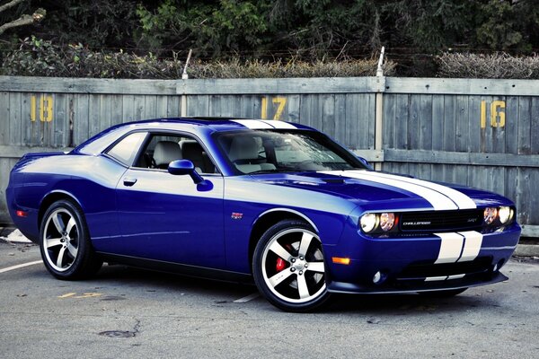 Dodge Challenger. Old cars. American classic cars