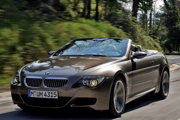 BMW Cabrio Auto auf Natur Hintergrund