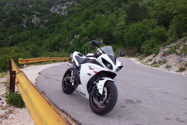 Moto Yamaha blanc et noir sur fond de nature